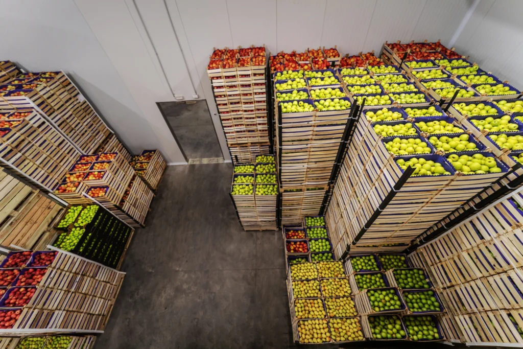 Food processing cold storage warehouse using antimicrobial protective coatings to support hygiene and compliance.